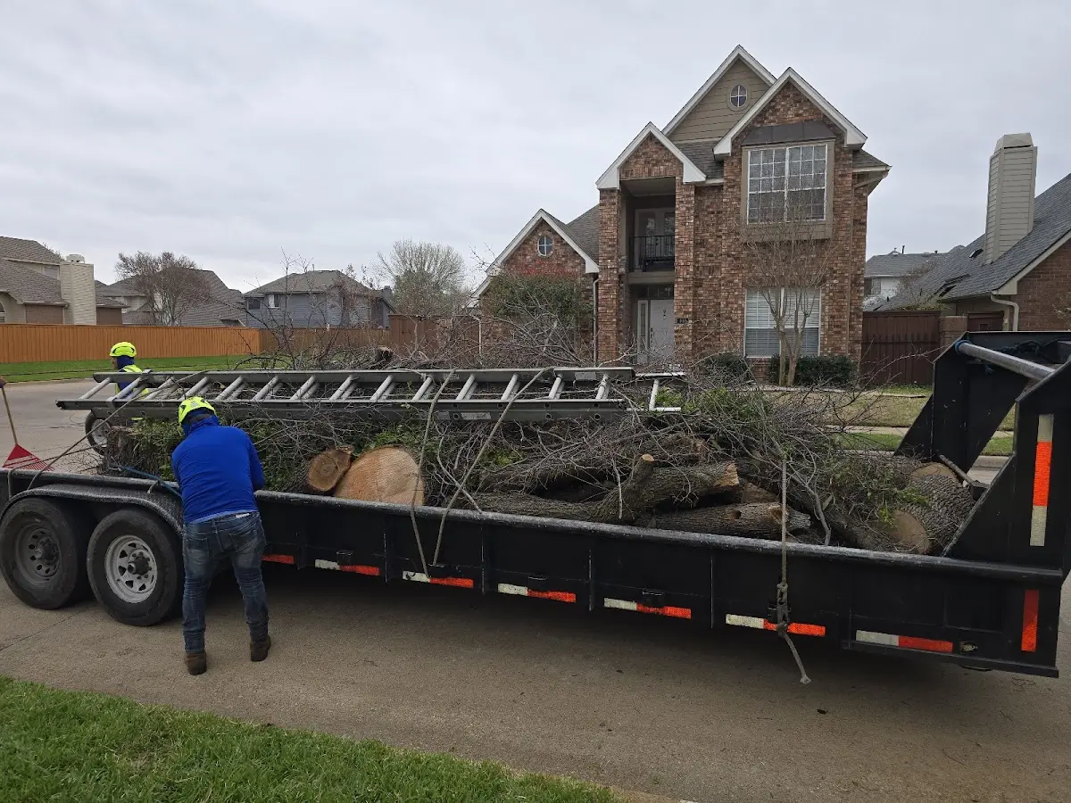 Expert Tree Pest Control with proper safety equipment in Fairport